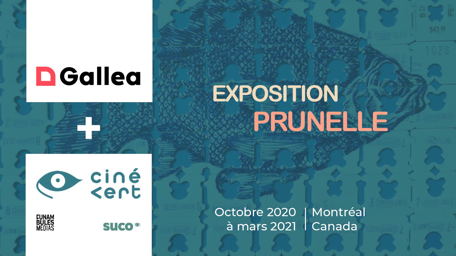 Exposition Prunelle, Gallea et Ciné Vert